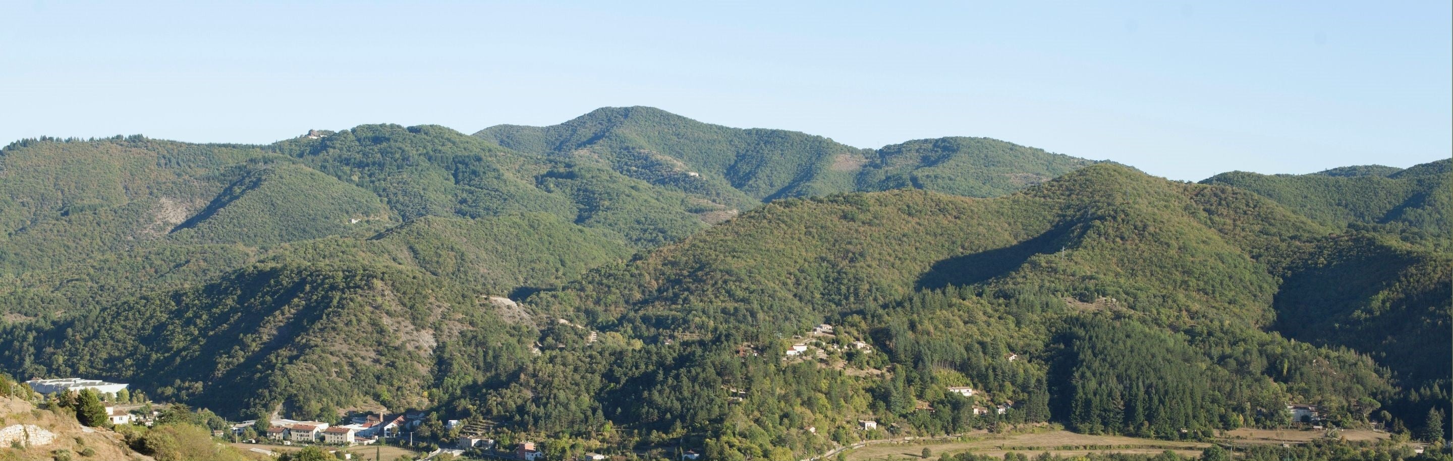 Well s'engage pour l'environnement